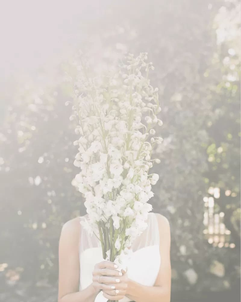 Photographe de mariage à Seraing